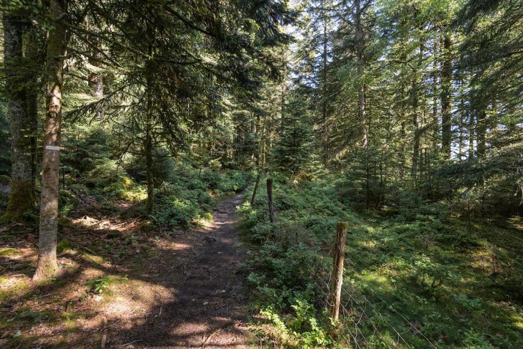 Charmant Chalet Cosy & Paisible En Pleine Nature - Refuge Idyllique Pour 5P 热拉梅 外观 照片